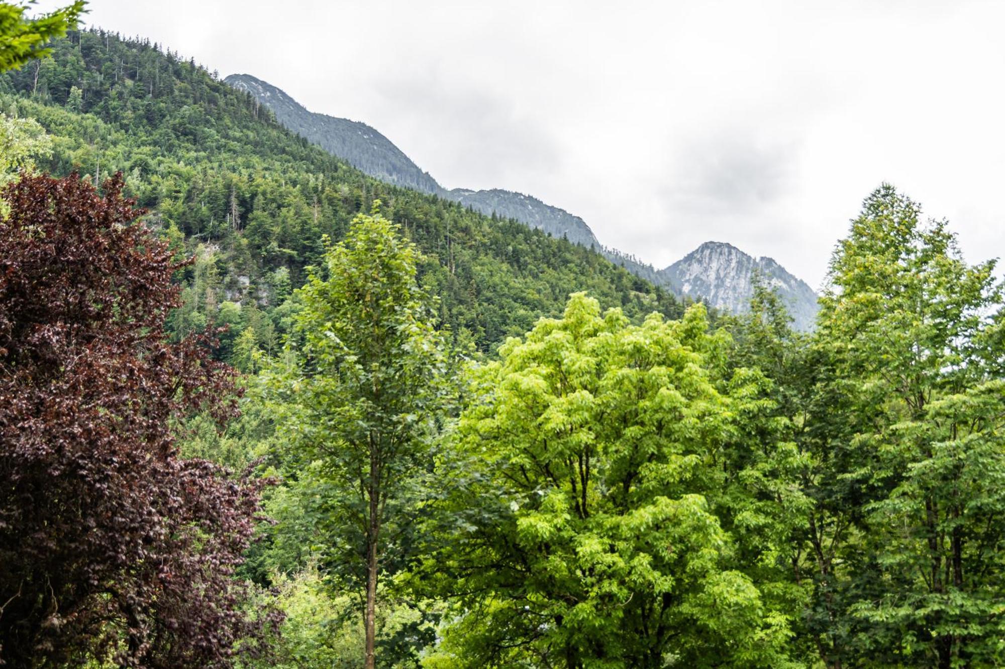 Alpin-Chalet In Alleinlage In Bad Ischl - Wald, Natur, Kamin & Sauna Kültér fotó